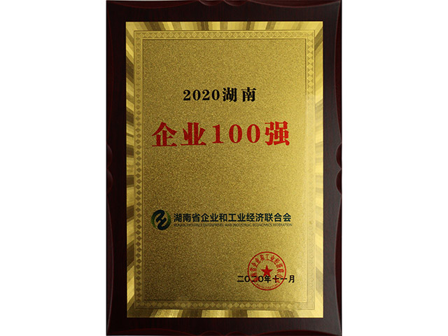 2020湖南企業100強