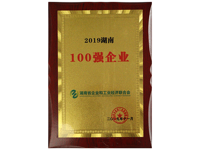 2019湖南100強企業